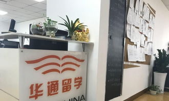 綿陽華通留學(xué) 通往美國(guó)名校的專業(yè)橋梁與全面信息指南